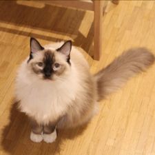 Profile image of Andjela92