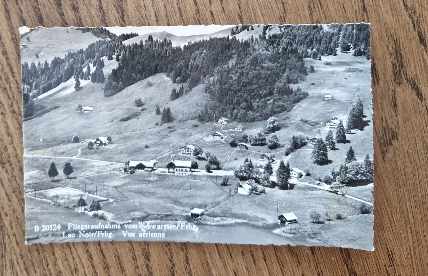 Cartoline postali: Flugaufnahme Schwarzsee 1954 – Usato da Ebikon venduto da Donar50