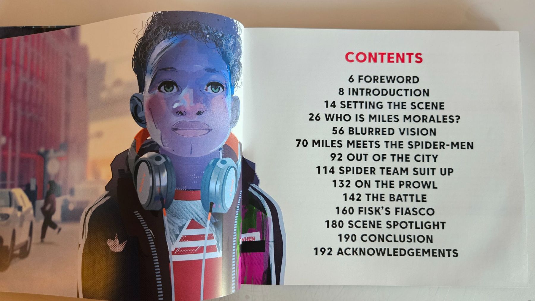 Libri: Spider-Man Into The Spider-Verse Art Book – Usato da Basel venduto da True_Hofer_Store 2
