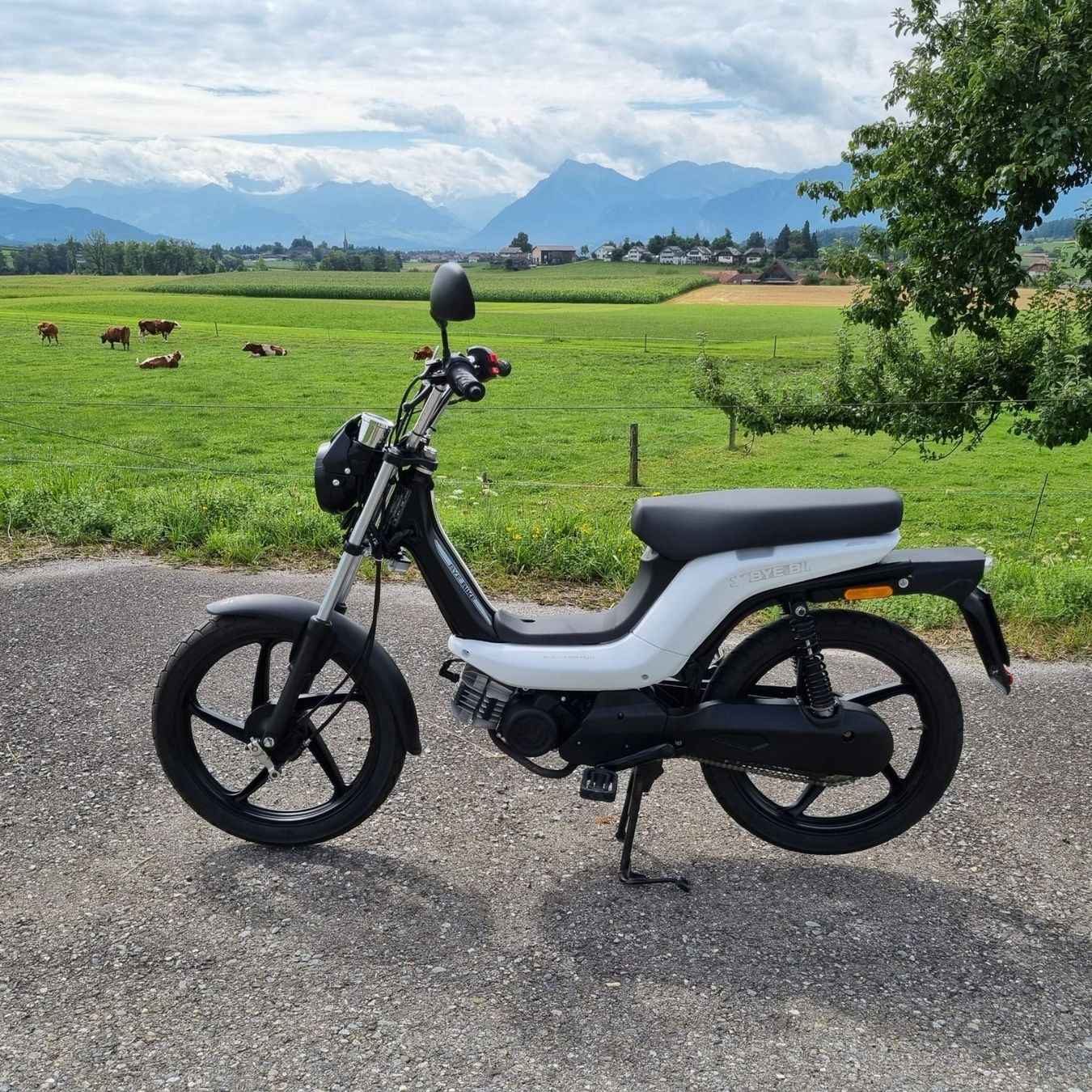 Ciclomotori: Mofa Bye Bike – Usato da Gerzensee venduto da eju_7vst