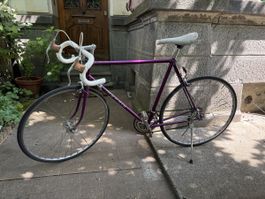 Rennrad Mondia Violett Herren Velo in gutem Zustand