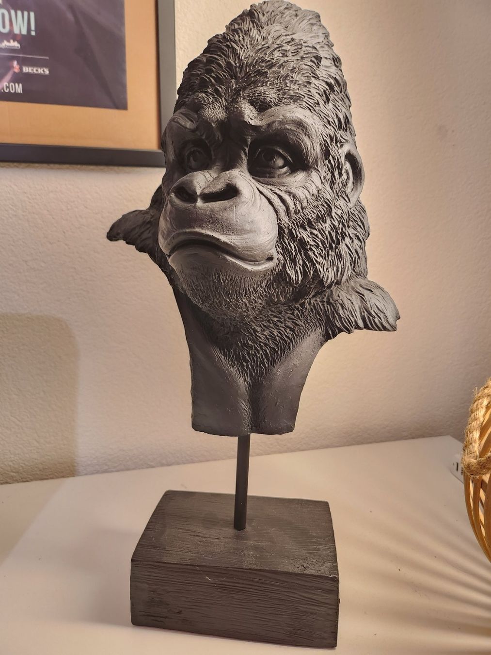 Sculture & Statue: Gorilla Affen Kopf Statue – Usato da Niederurnen venduto da Ghost.recon