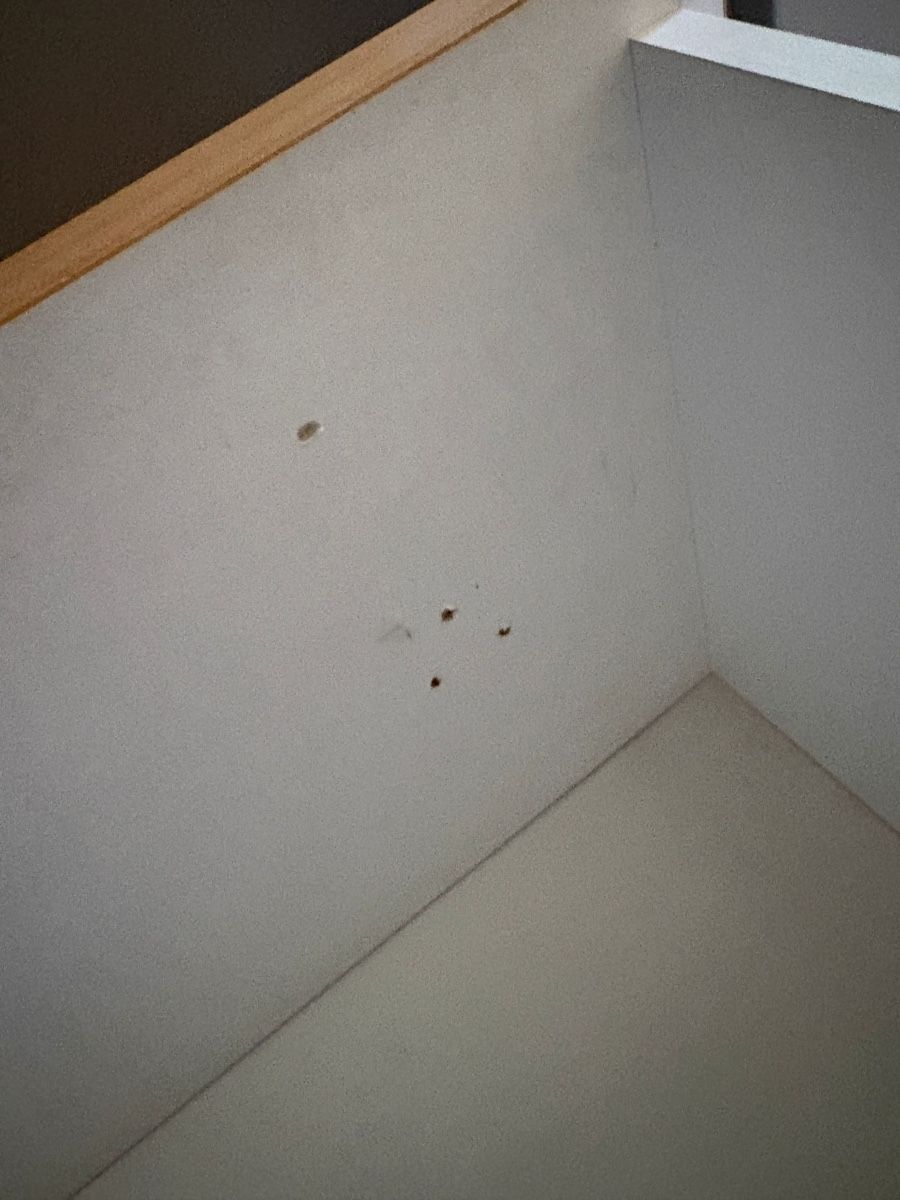Ikea Schränke: Kleiderschrank  – Gebraucht aus Mauensee von car_d7g8 4