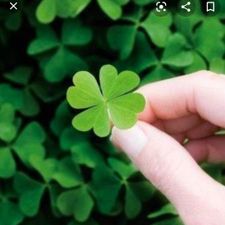 Profile image of Good_luck_