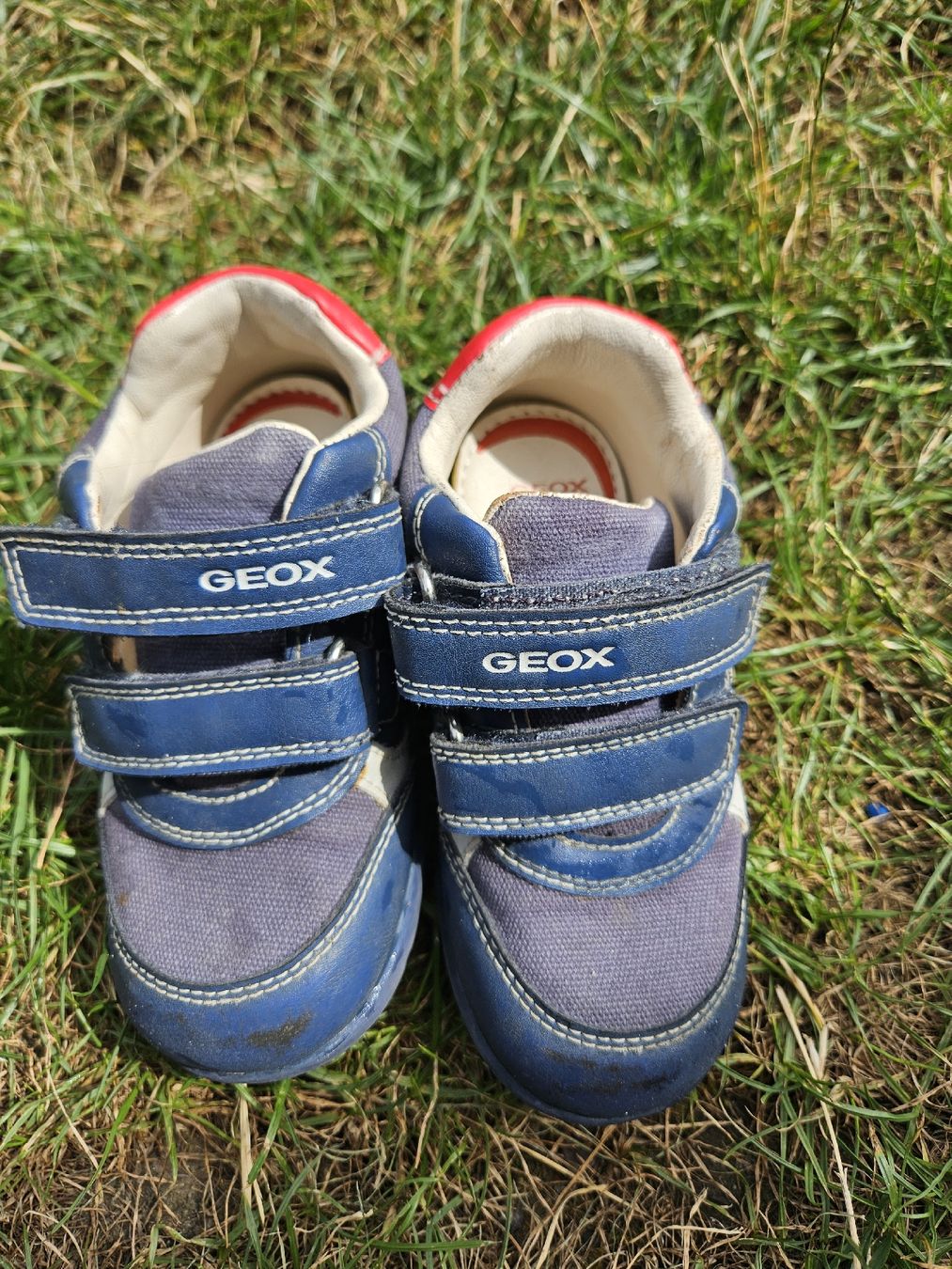 Geox Scarpe per ragazzi: Kinderschuhe GEOX Grösse 24 blau  – Usato da Ermensee venduto da cristi89 1