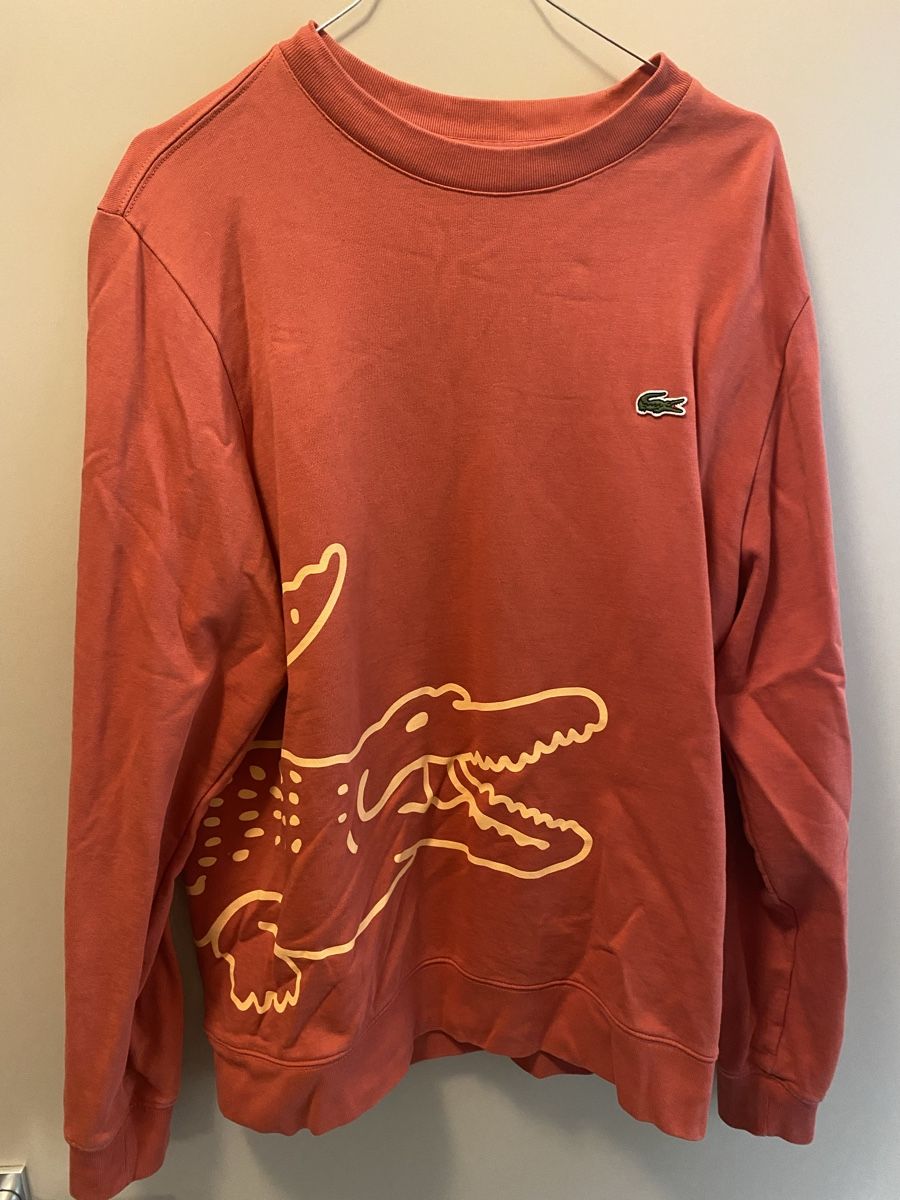Lacoste Maglioni & Felpe: LACOSTE Pulli, Gr.(4)M – Usato da Greifensee venduto da Chris286