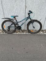 Velo 24 zoll