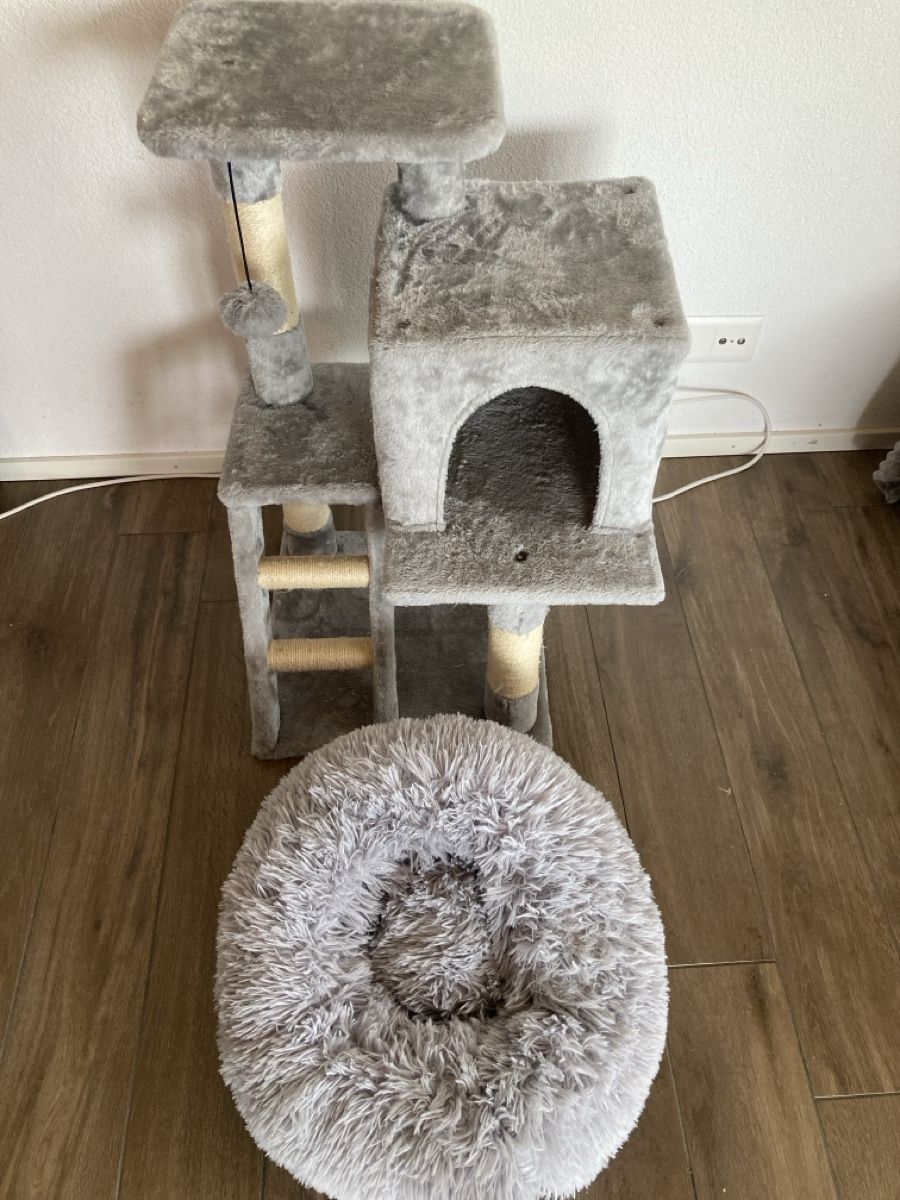 Tiragraffi: Katzenhaus – Usato da Schwanden GL venduto da bait04 1