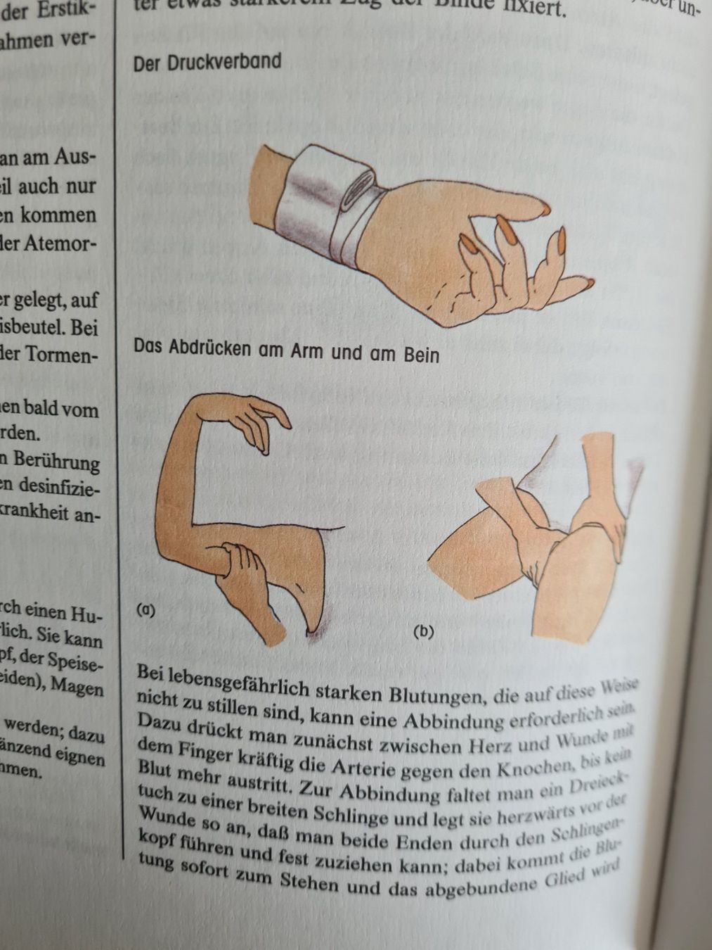Libri: Das moderne Buch der Naturheilkunde – Usato da Klosters venduto da Riva123 4