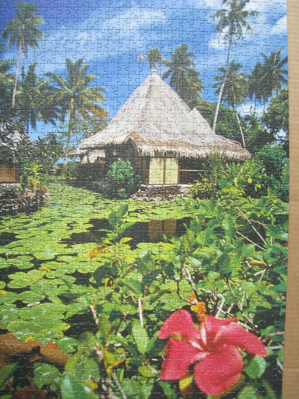 Ravensburger Puzzles: 4 Puzzle à 1000 Teile – Gebraucht aus Sutz von martinliliane 5