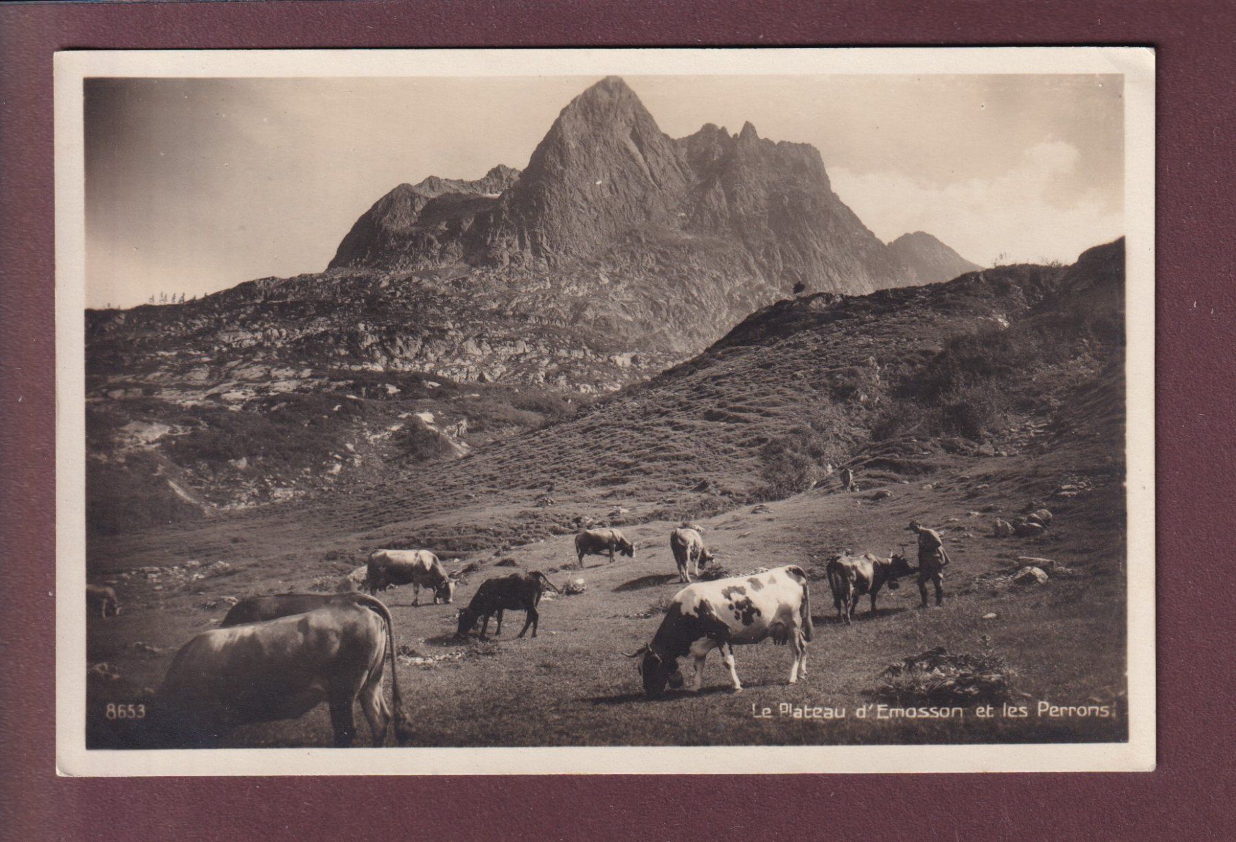 Cartoline postali: Plateau d'EMOSSON - Les Perrons - Vaches – Usato da Pully venduto da nicecards
