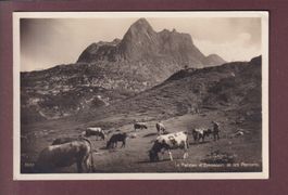 Plateau d'EMOSSON - Les Perrons - Vaches