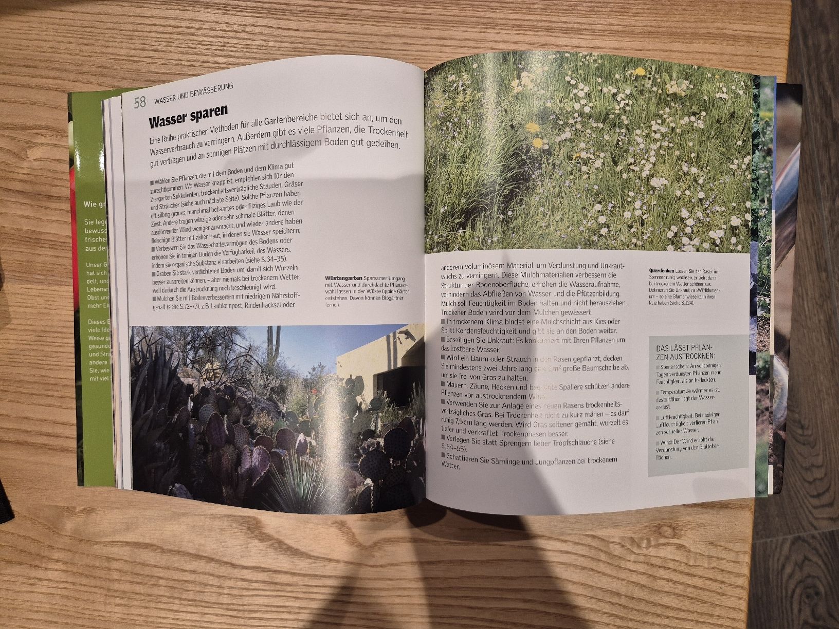 Libri: Buch Biologisch gärtnern – Usato da Lanzenhäusern venduto da Sulaika0 1