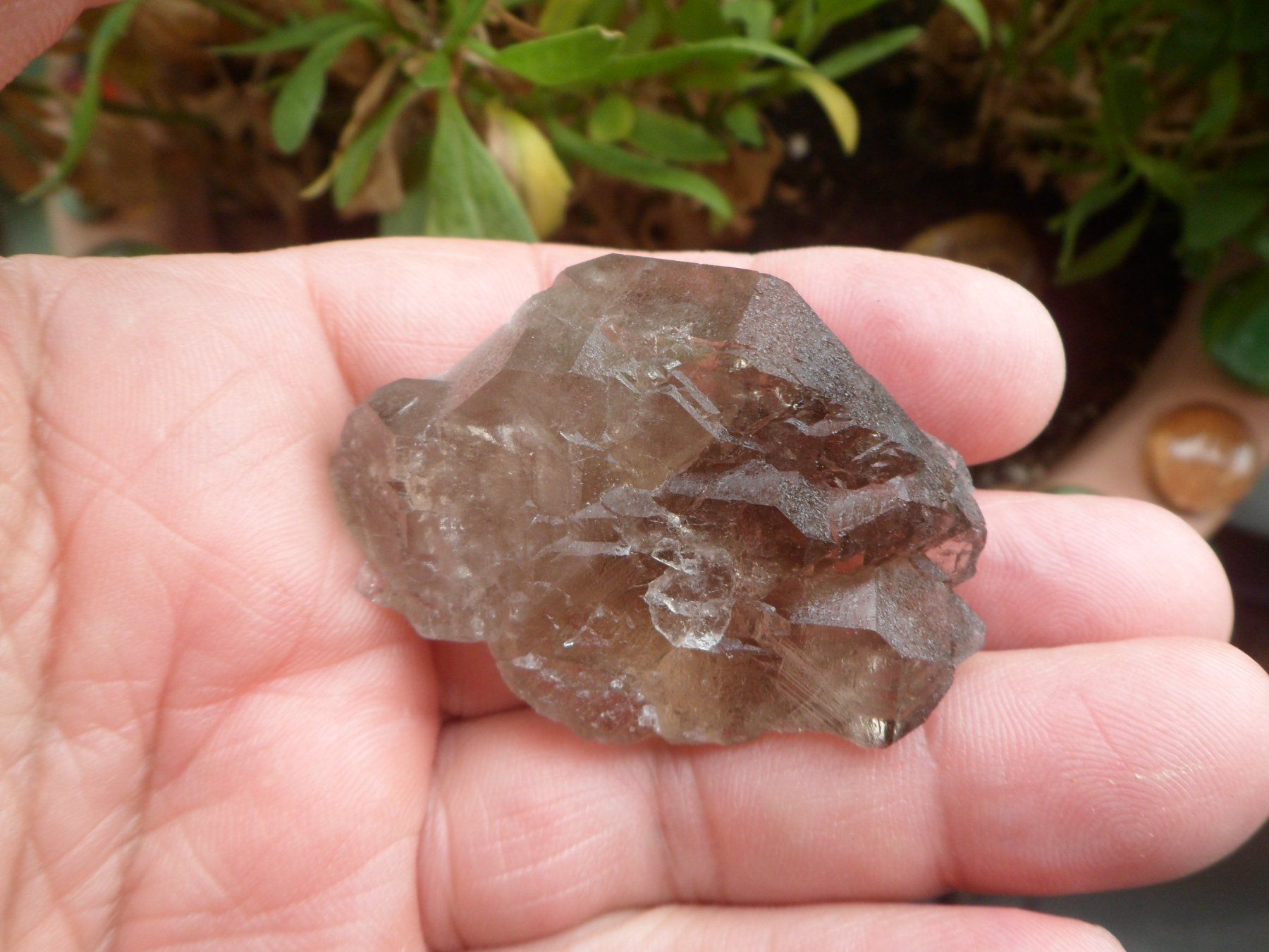 Minerali & Pietre curative: Rauchquarz Gwindel Schweiz – Usato da Affoltern am Albis venduto da Fossil60 1