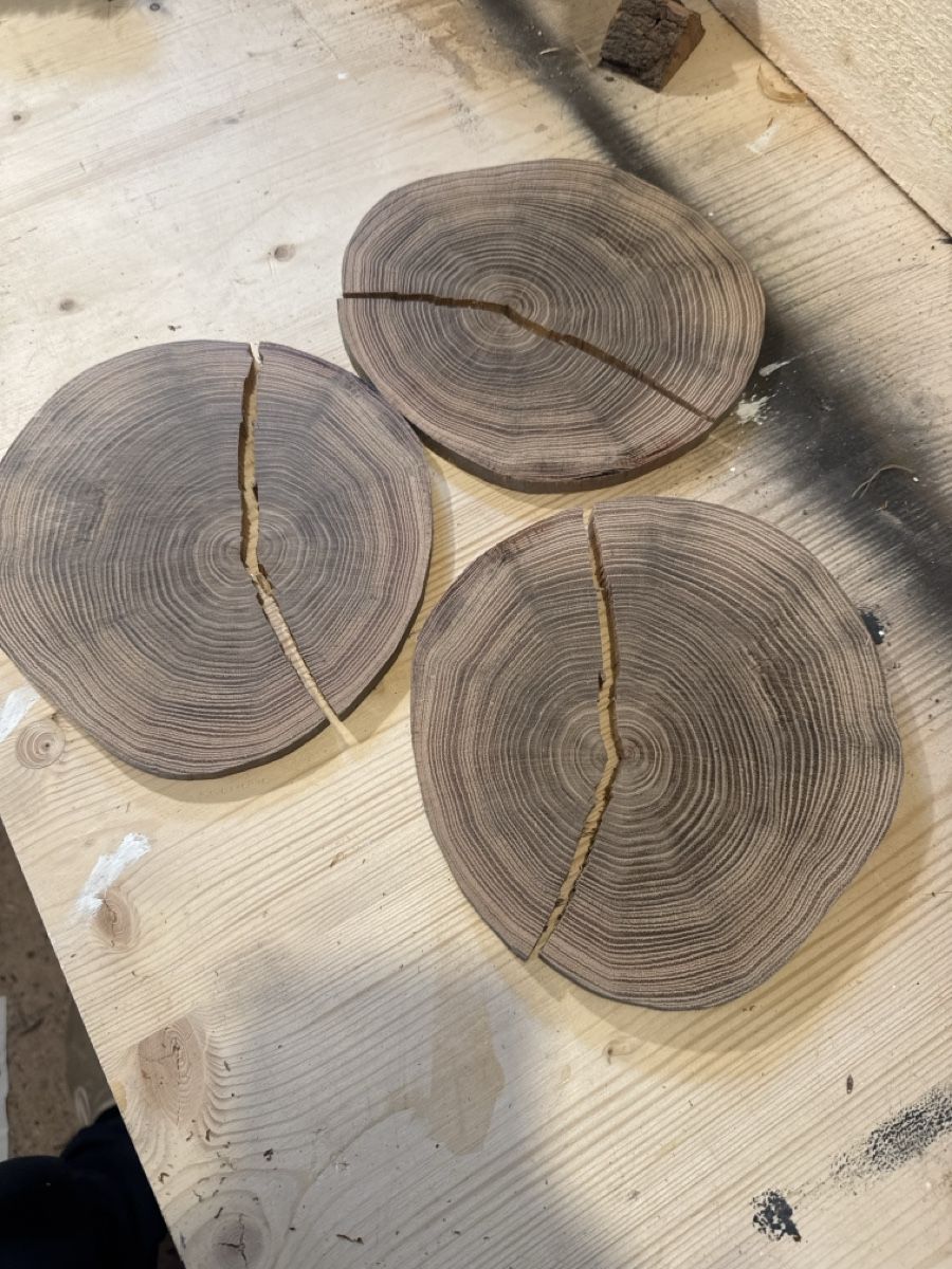 Holzartikel: Deko Holzscheiben Baumscheiben – Gebraucht aus Brunnen von Holz-style