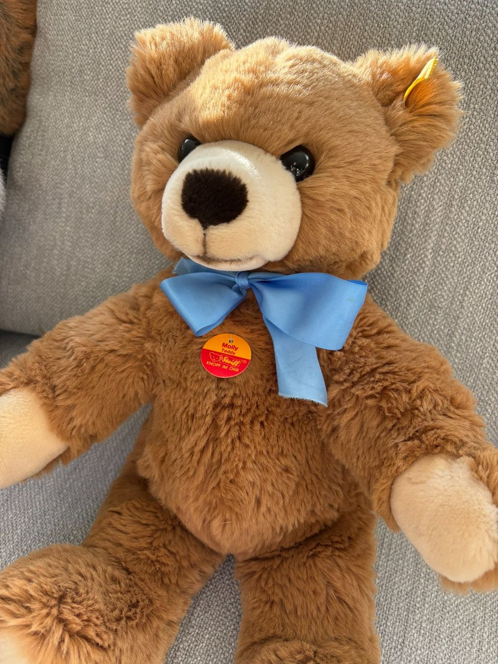 Steiff Giocattoli: STEIFF Teddy Bär Molly 50cm NEU – Nuovo (secondo la descrizione) da Egg b. Zürich venduto da eve_h8pg 7