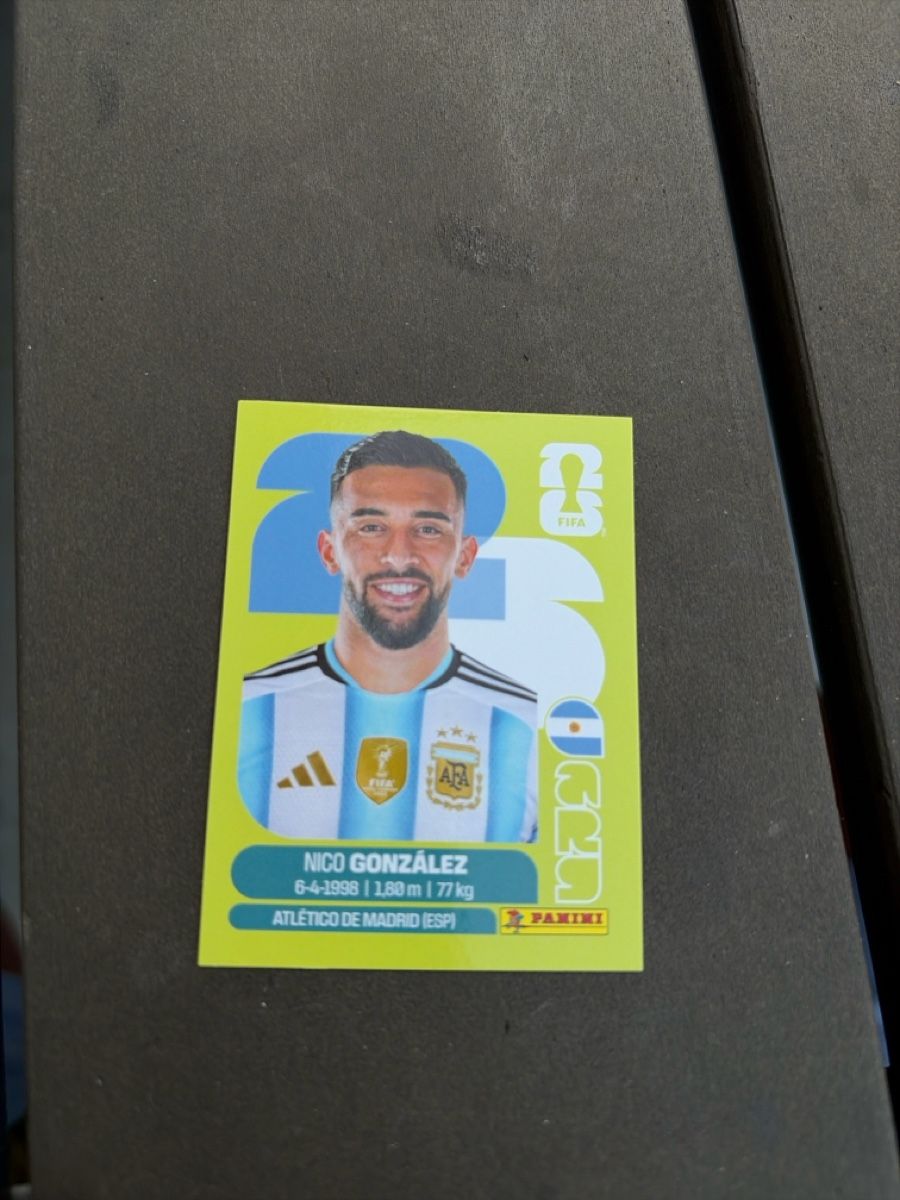 Panini Carte collezionabili: Nico González – Nuovo (secondo la descrizione) da Dornach venduto da metallbau.ch
