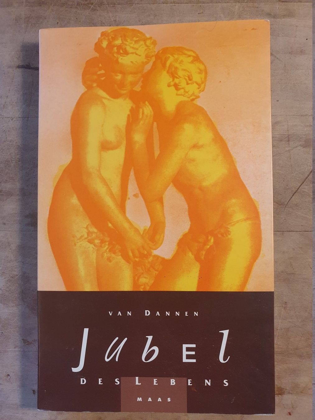 Libri: Jubel des Lebens Van Danne Maas – Usato da Zürich venduto da loosebone