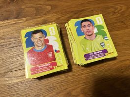 Panini WM 2026 (162 St.)