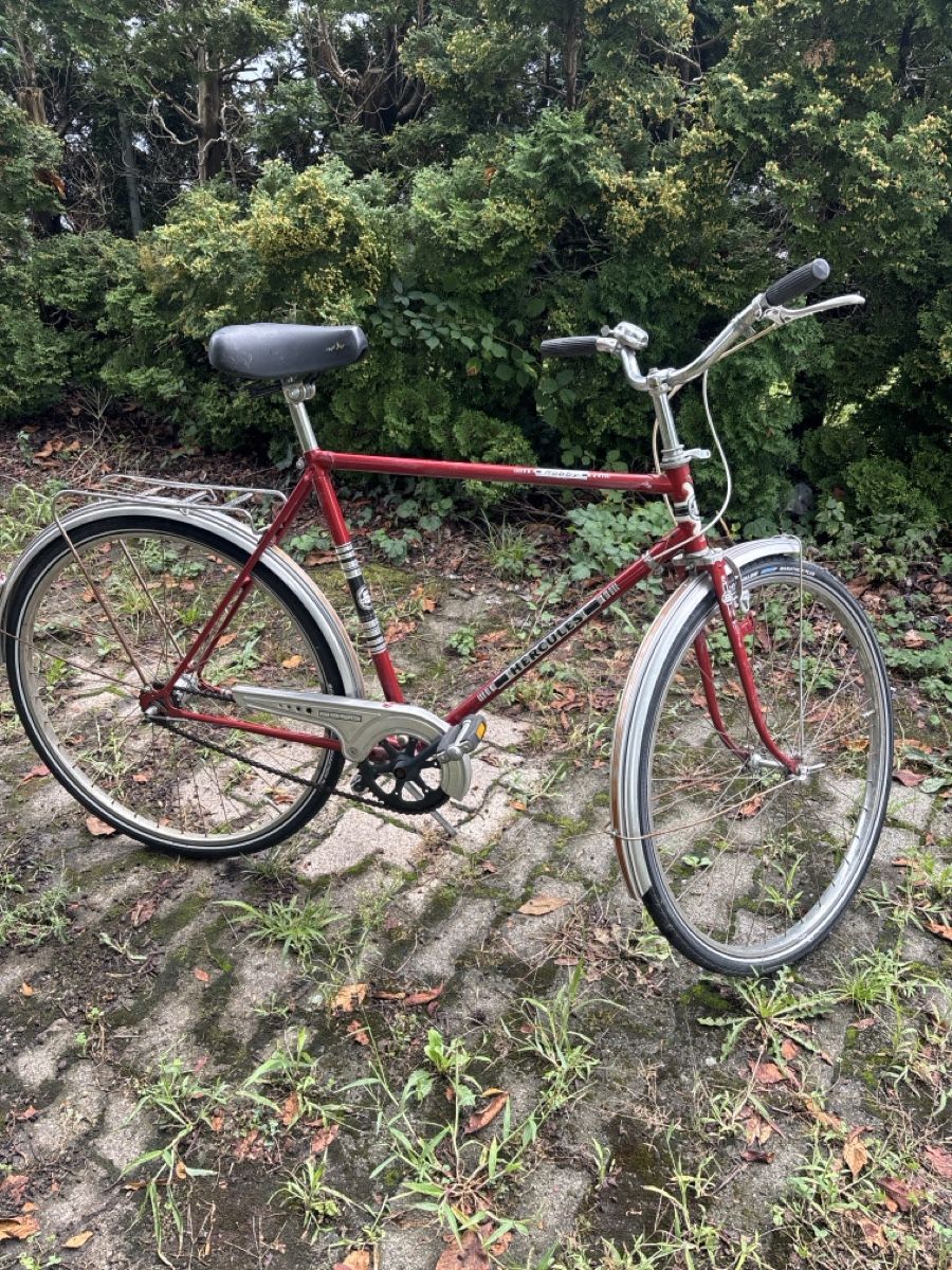 Vélos: Hercules Herrenrad rot  – D'occasion à Marbach SG par dan_62c6