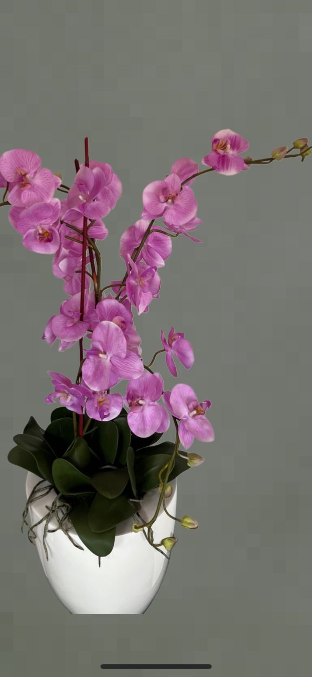 Piante & sementi: Kunstpflanze Orchideen im Topf – Nuovo e nell'imballaggio originale da Emmen venduto da codici