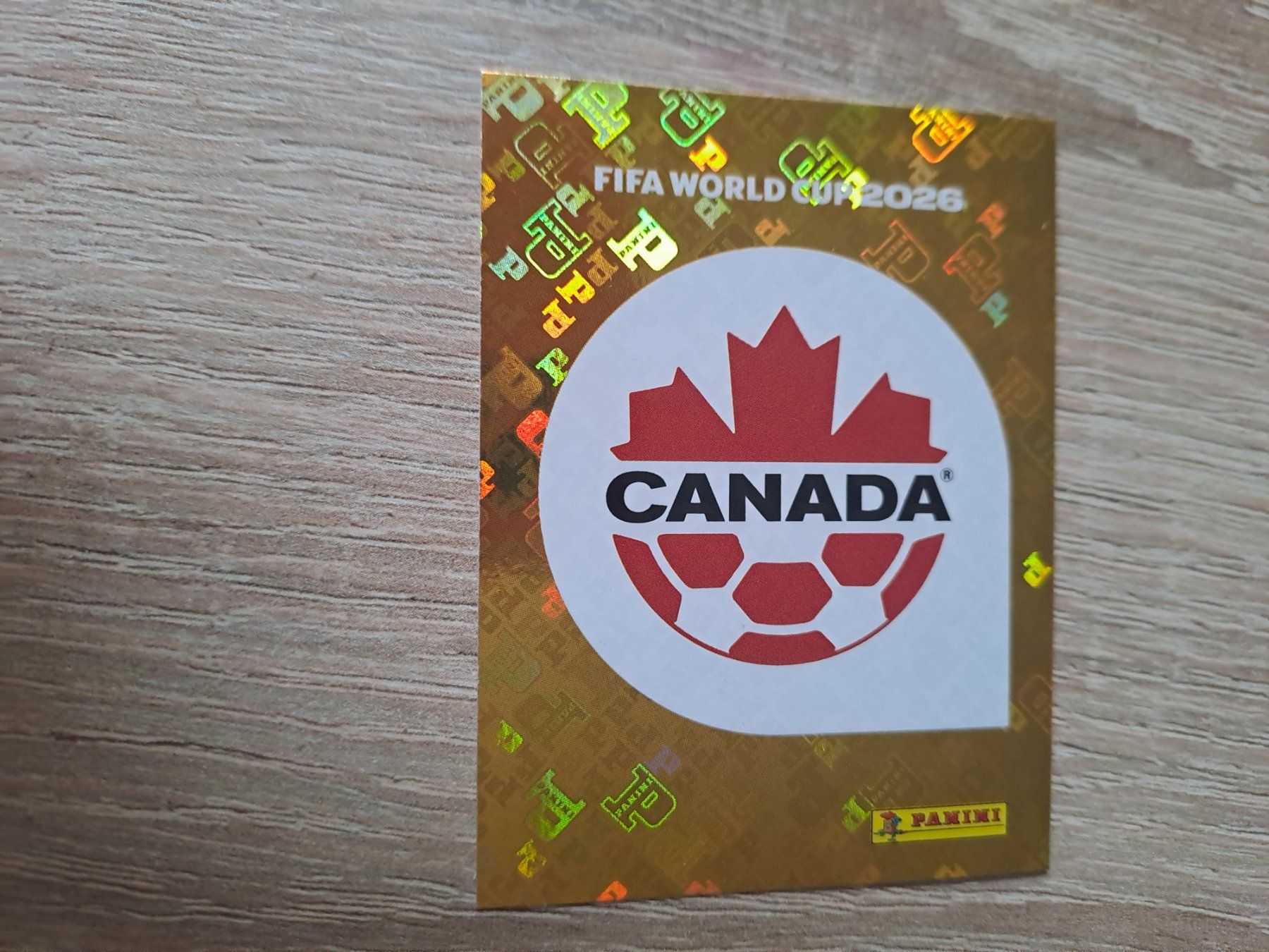 Fifa Carte collezionabili: CAN 1 – Nuovo (secondo la descrizione) da Pratteln venduto da olliw