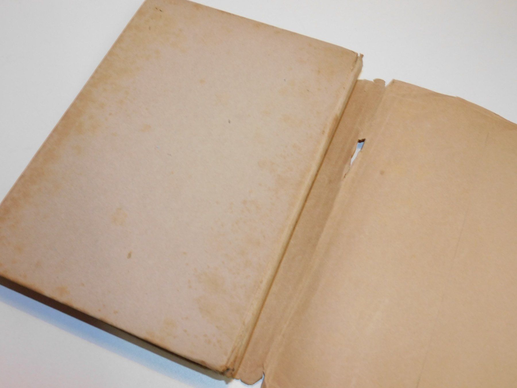 Libri: Hauffs Märchen antikes Kinderbuch Märchenbuch   gebraucht – Usato da Sursee venduto da 76 2