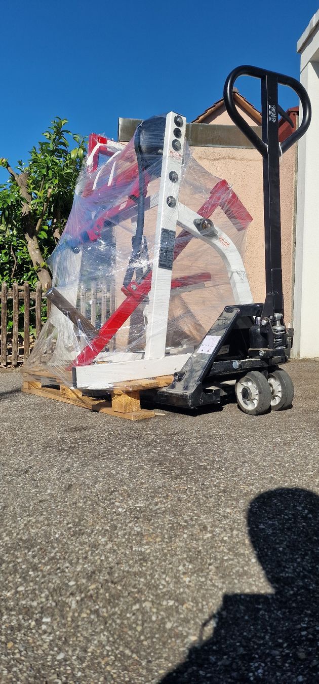 Hometrainer: Hammer Strength Bizepsmaschine – Usato da Aarau venduto da shq_869r 9