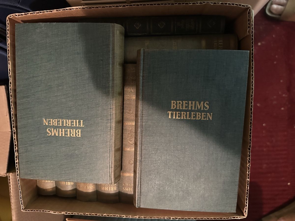 Bücher: Brems Tierleben in 12 Bänden 1953 – Gebraucht aus Wettingen von Phibras