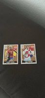 Panini Extra Sticker