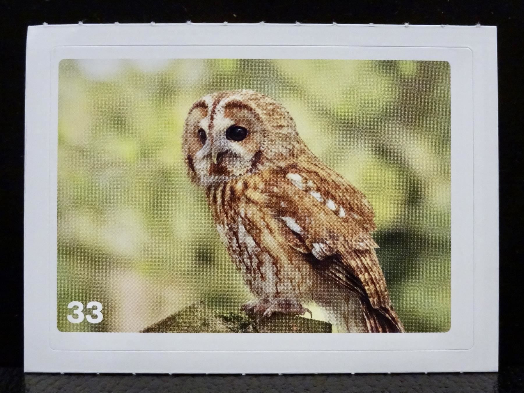 Migros Cartes à collectionner: MIGROS MANIA Nature Detectives Nr. 33 – Neuf avec emballage d'origine à Kerzers par zimmergruen