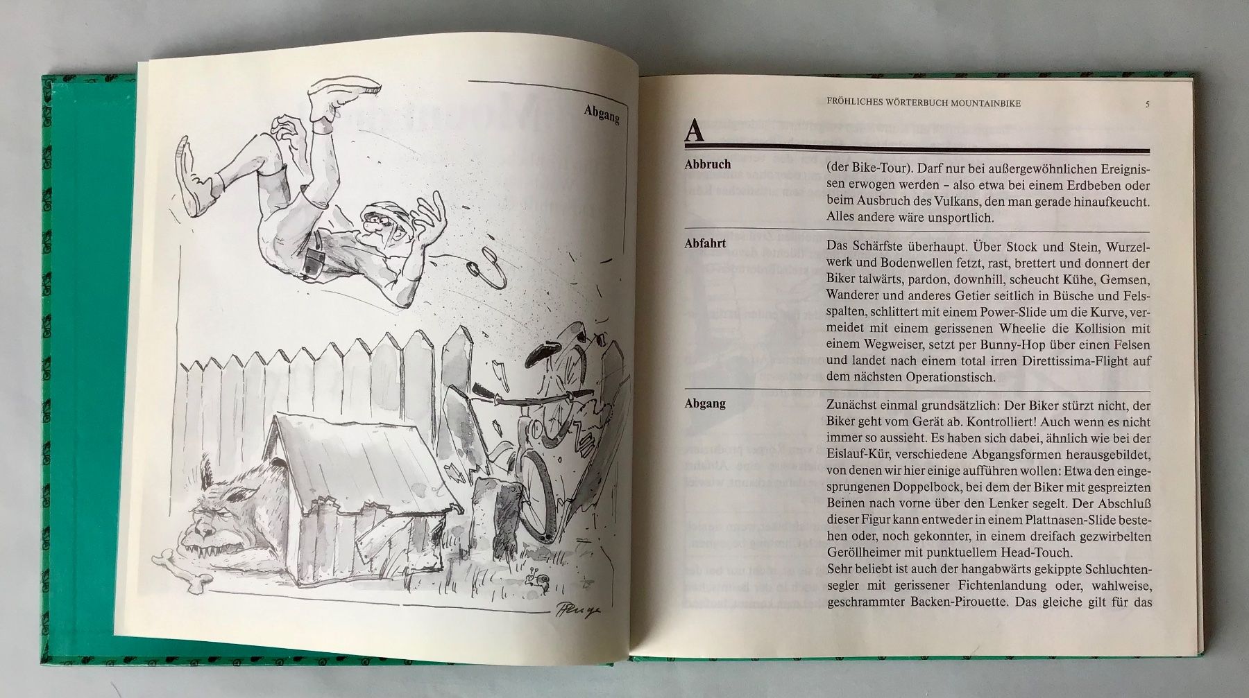 Fumetti: Mountainbike (Comic - Wörterbuch) – Usato da Bubendorf venduto da Alpenheidi 3