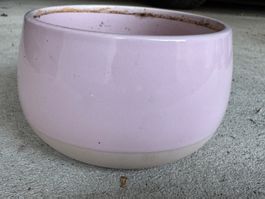 Pot de fleurs