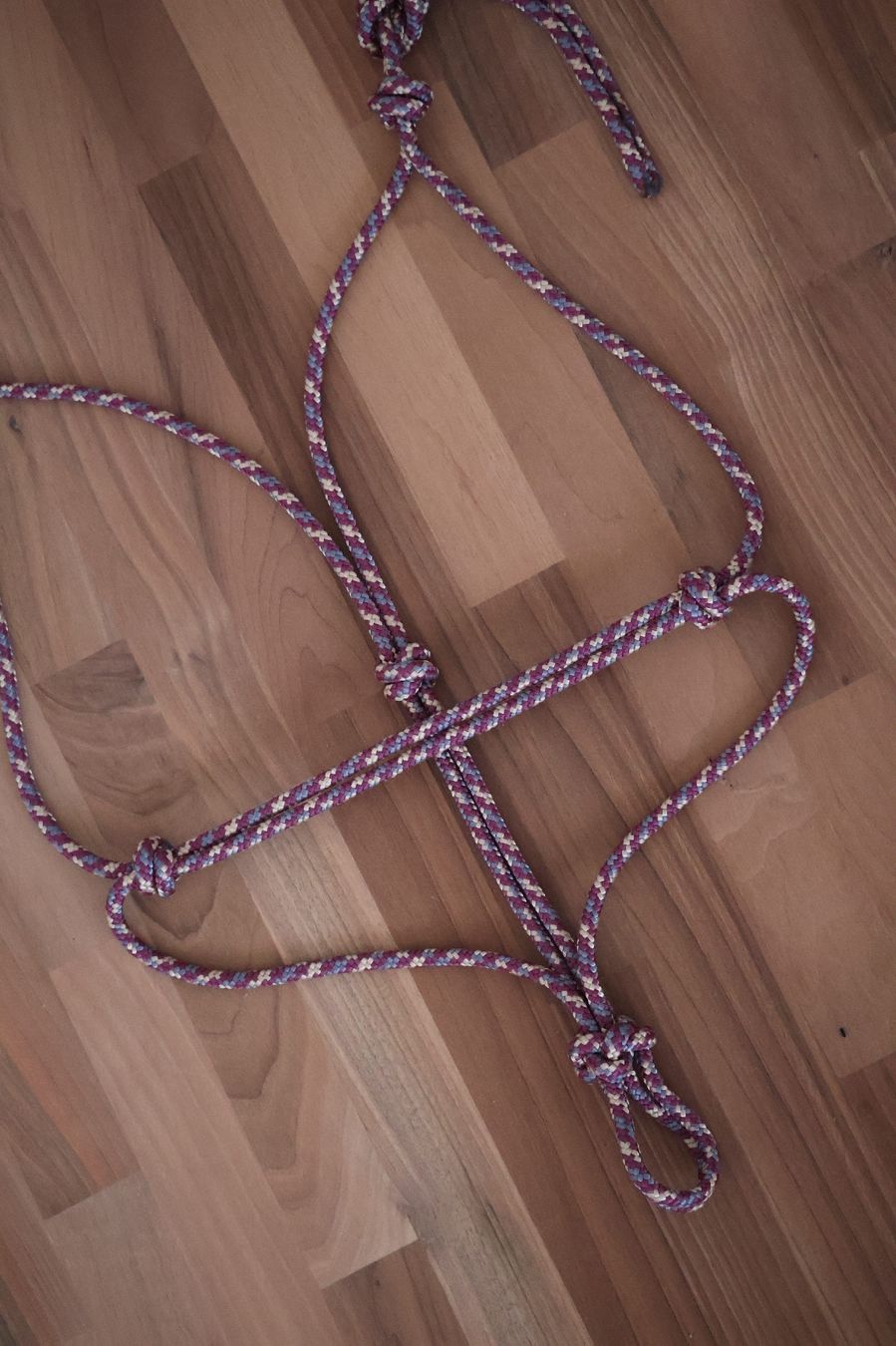 Briglie & Cavezze: Knotenhalfter Cob NEU – Nuovo e nell'imballaggio originale da Meggen venduto da Orrinka20 1