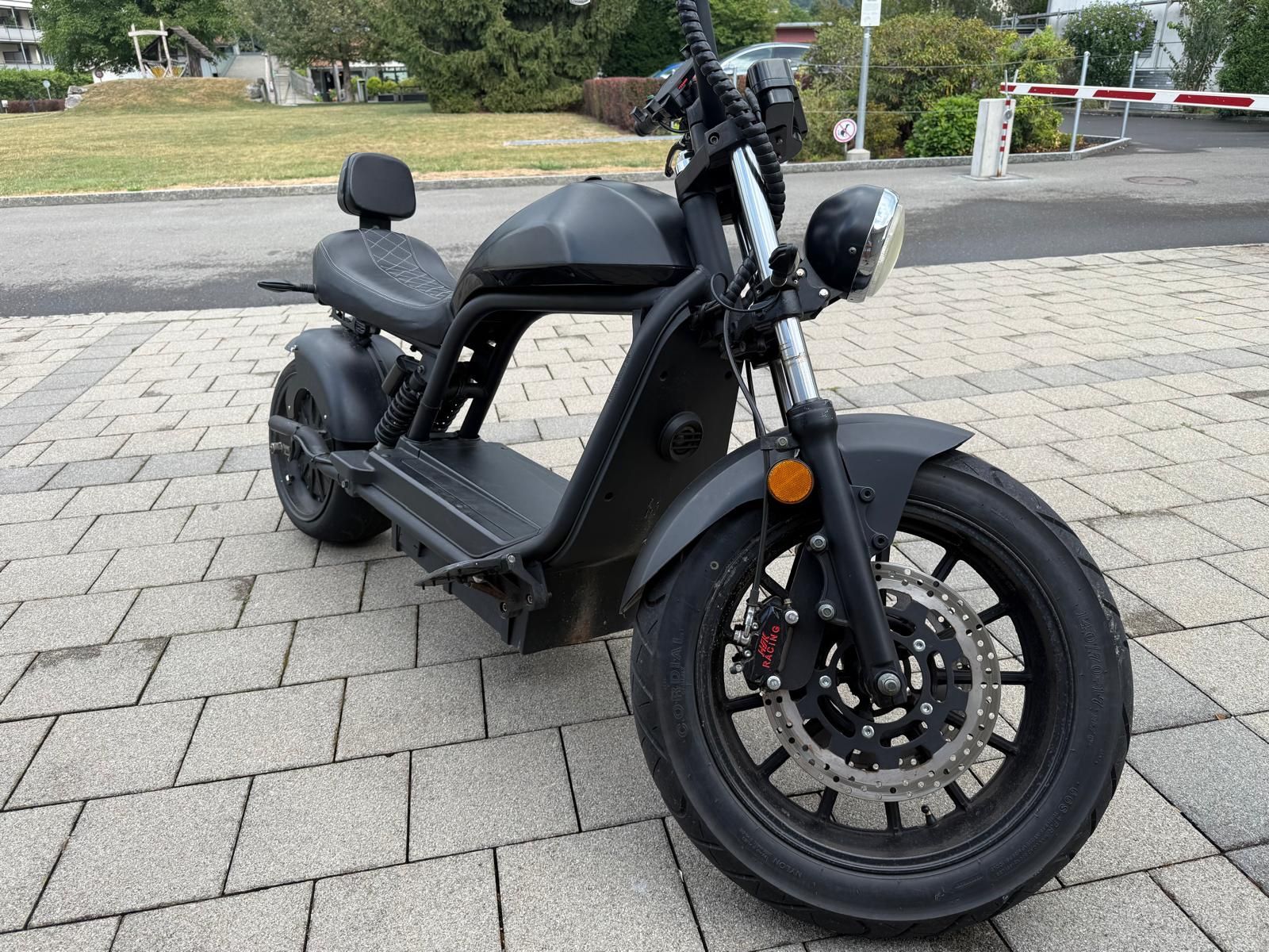 Scooters: E-Roller – Gebraucht aus Thun von Jana-88