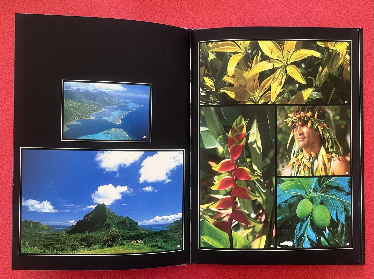 Bücher: 7 Reisebücher Bildbände Nepal Polynesien Amazonas – Gebraucht aus Wädenswil von Buddha8 3
