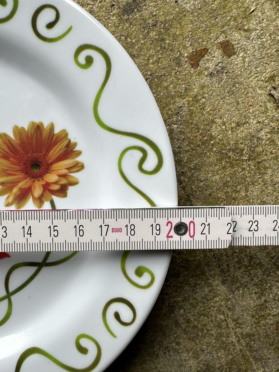 Piatti: 4er Set Kunststoff Dessertteller mit Blumenmuster – Usato da Zollikofen venduto da Taximan89 2