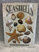 Seashells meer muscheln