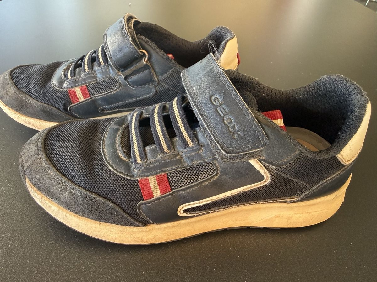 Geox Schuhe für Jungen: Sneakers Geox (Gr. 31) – Gebraucht aus Bern von estrellita2014