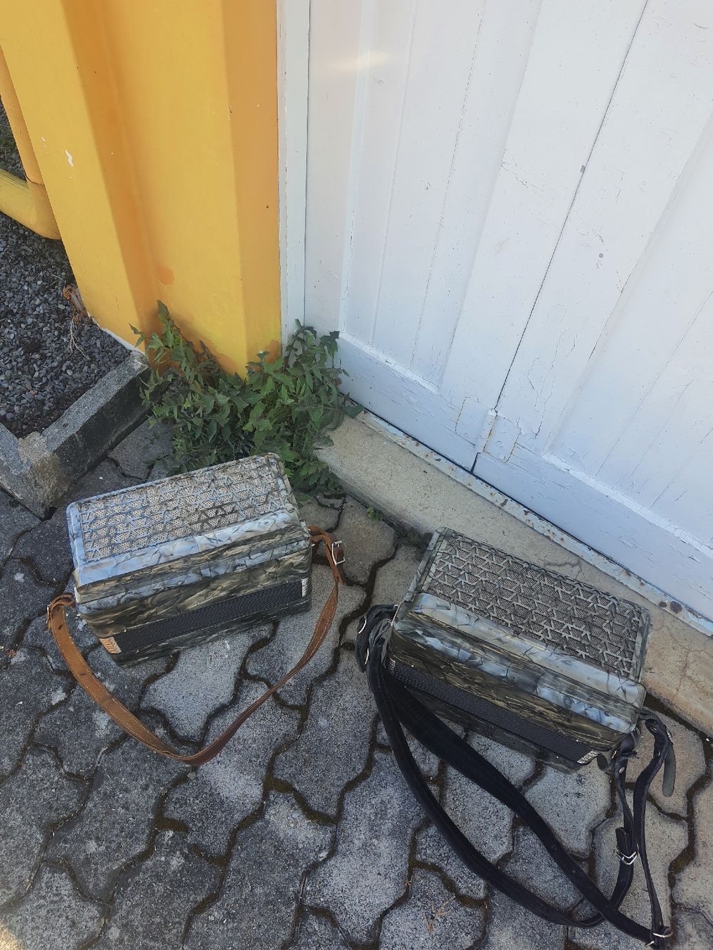 Hohner Strumenti musicali: 2 accordéons diatonique 8 basses hohner – Usato da Pont-de-la-Morge venduto da Mirabelle0 5
