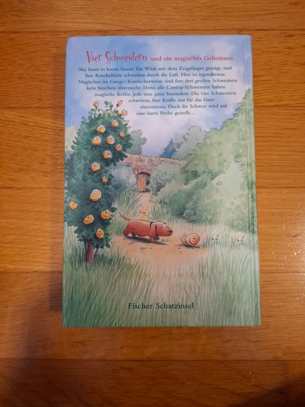 Libri: Vier zauberhafte Schwestern – Usato da Volketswil venduto da happyfamily04 1