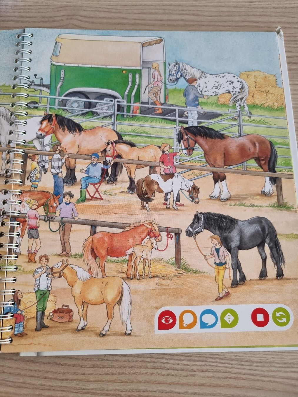 Libri: Tiptoi Buch "Die Welt der Pferde und Ponys" – Usato da Luzern venduto da Luzern_Energy 2