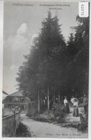 Pfäffikon ZH - Erholungsheim Waldfrieden - Wald-Partie