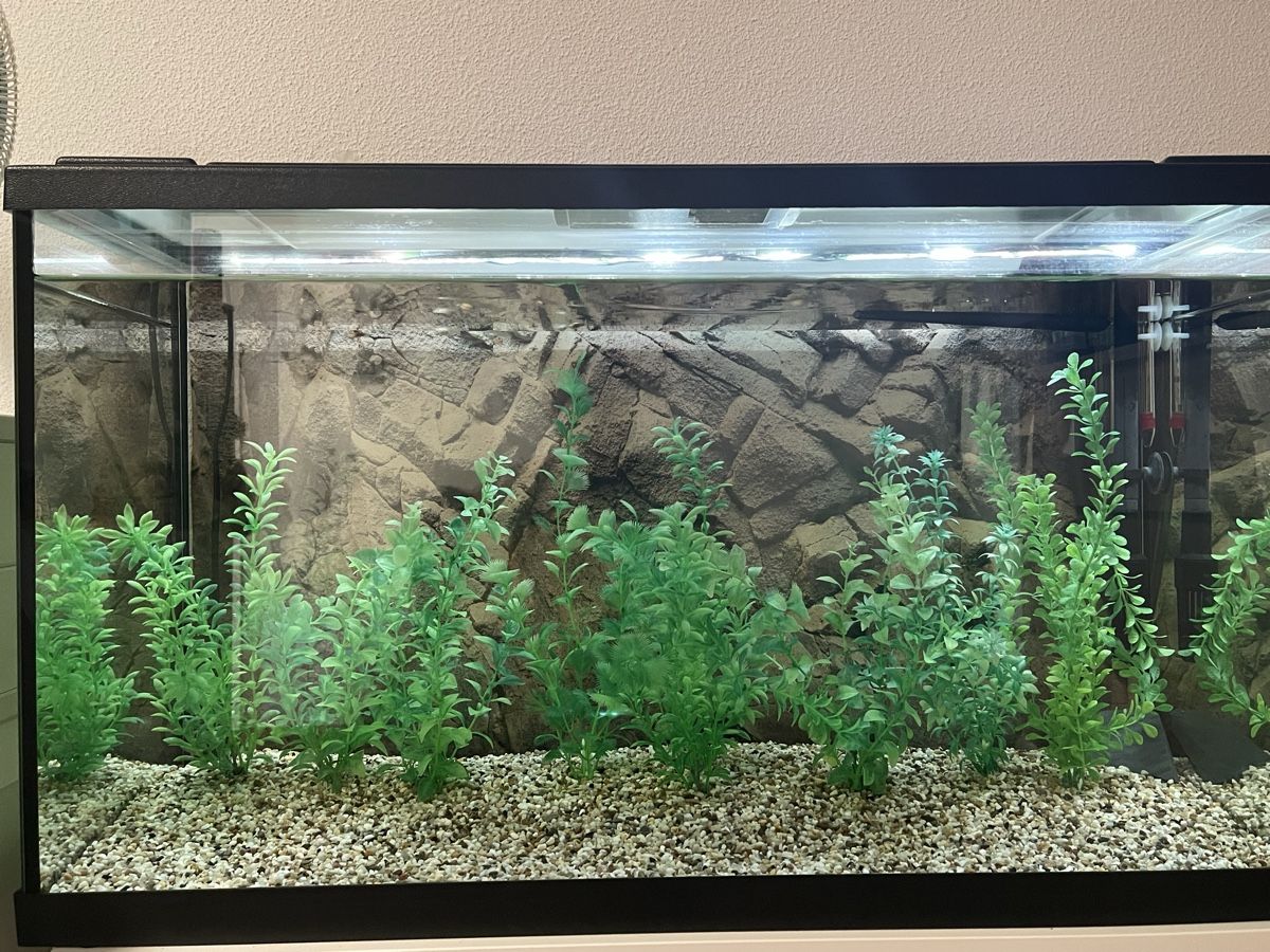 Eheim Acquari: Aquarium 120 litres – Usato da Lausanne venduto da jul_krx9