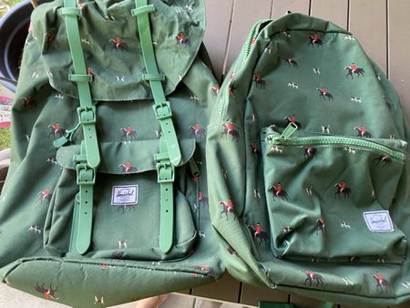 Herschel Rucksack, Twining. NP war 200 sfr beide zusammen