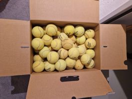 220 gebrauchte Tennisbälle