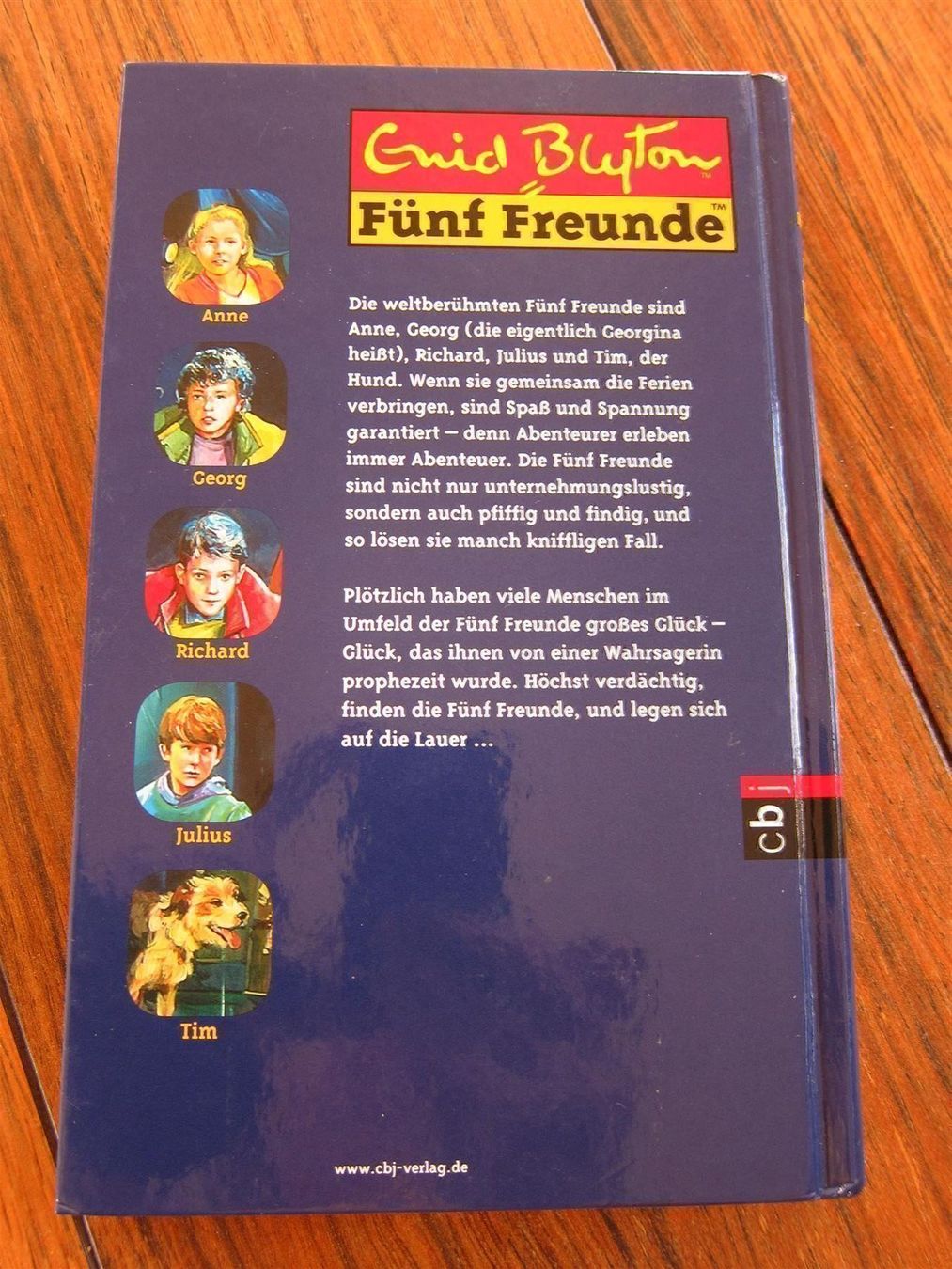 Bücher: *5 Freunde* und die Wahrsagerin – Neu (gemäss Beschreibung) aus Buchrain von Baba-Jaga 1