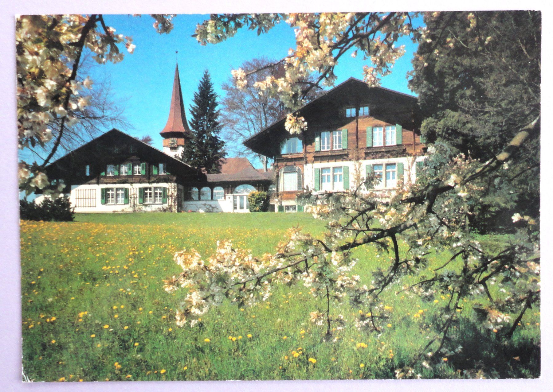 Cartoline postali: Ferienheim "Olvido", Spiez – Usato da Fétigny venduto da Billy2miny