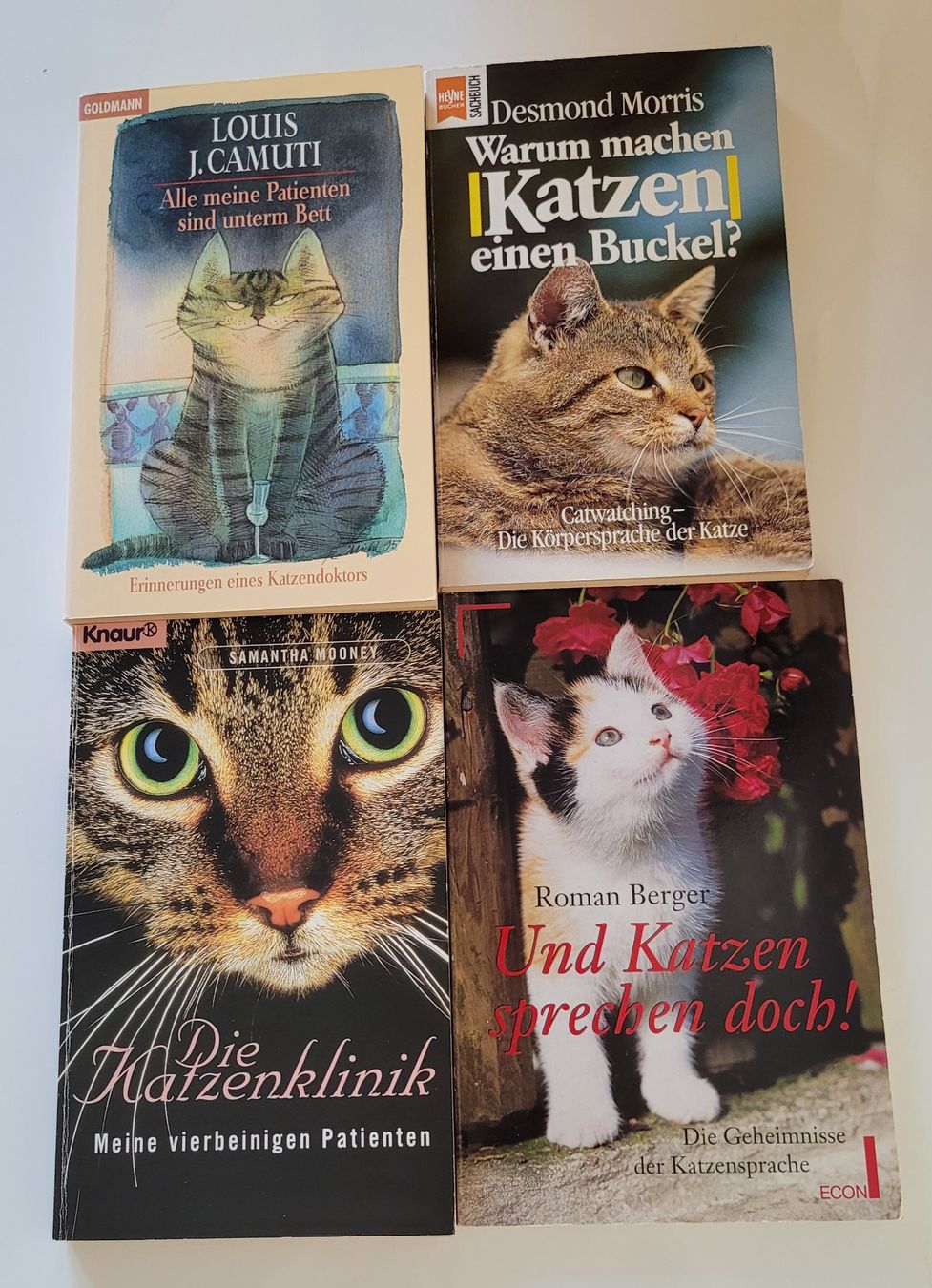 Livres: 4 Katzenbücher – D'occasion à Zürich par fourpaws
