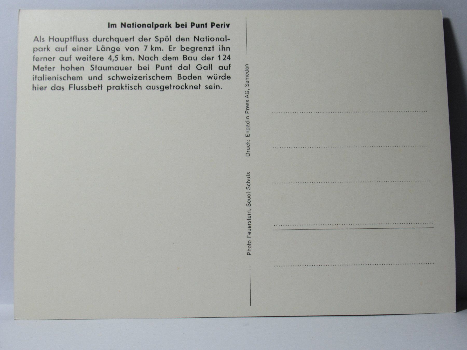 Cartoline postali: Im Nationalpark bei Punt Periv – Nuovo (secondo la descrizione) da Grenchen venduto da Bluemchen1900 1
